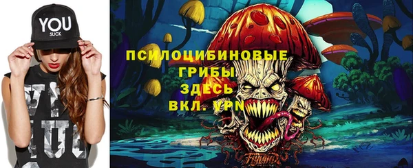 mdma Богородицк