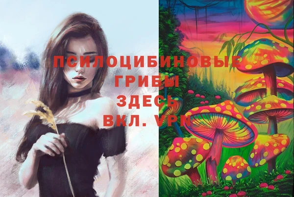 марки nbome Богданович