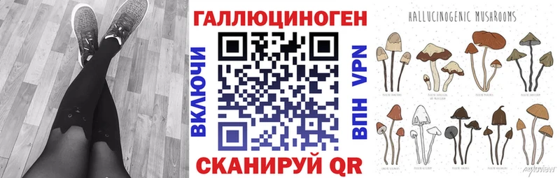 Псилоцибиновые грибы Psilocybe  Бахчисарай 